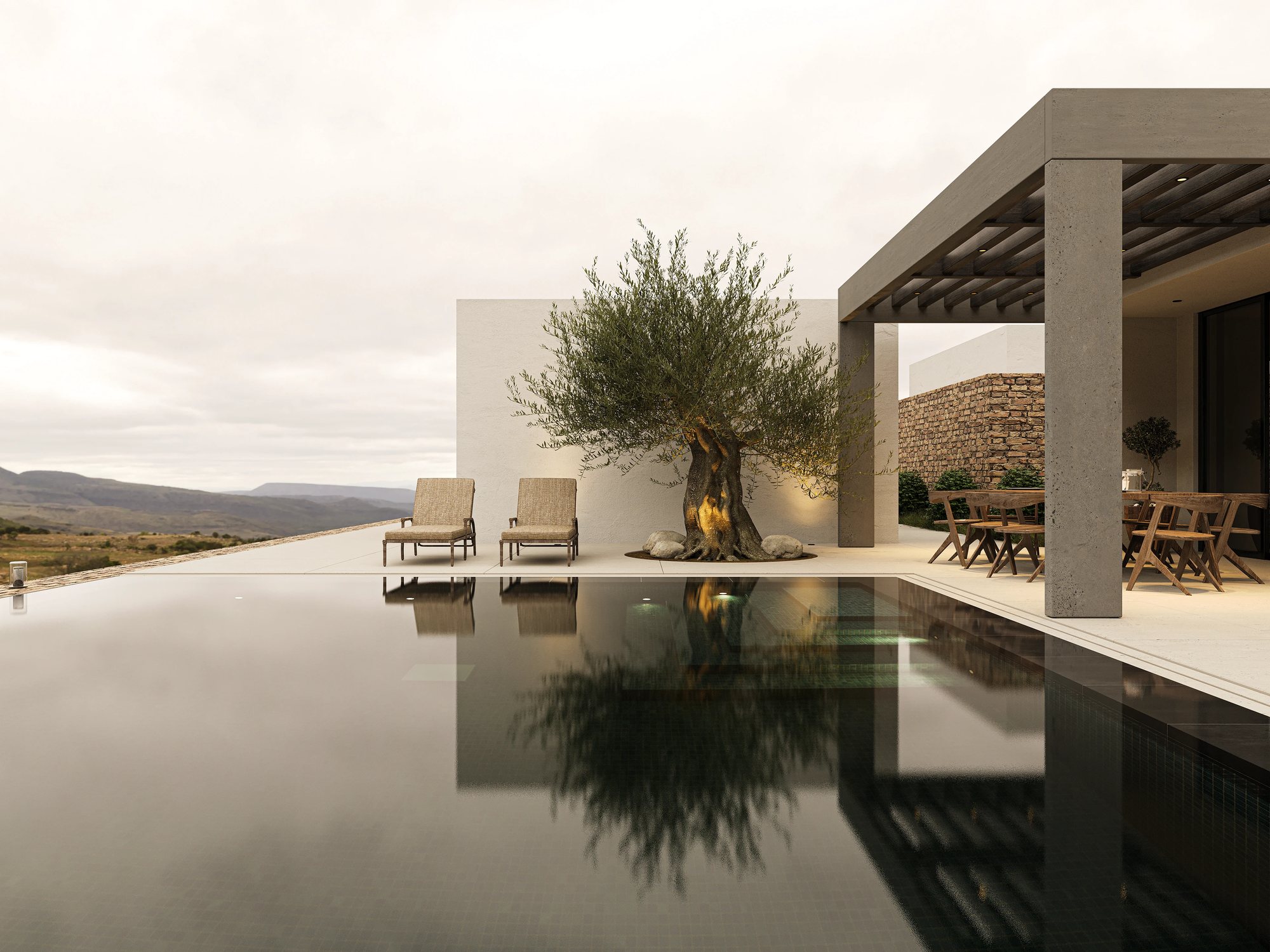 Infinity pool terrace with olive tree